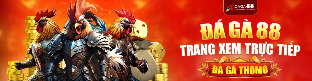 Theo Dõi Trực Tiếp Và Đánh Giá